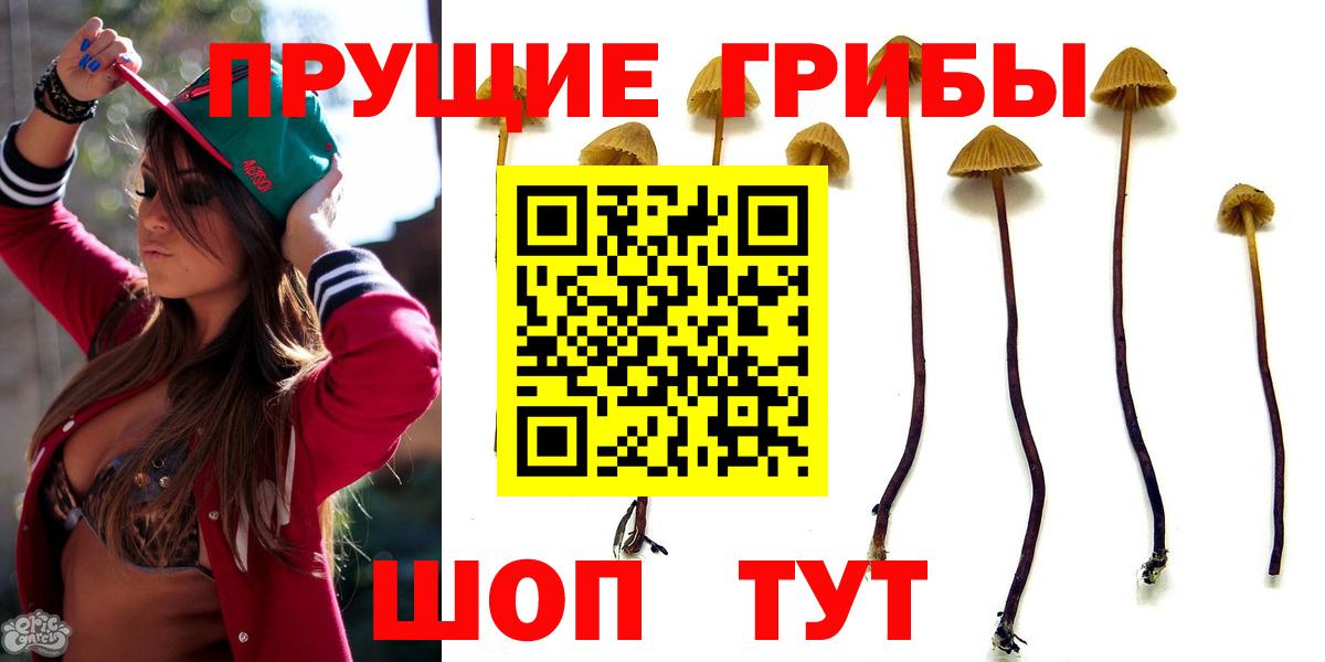 Галлюциногенные грибы прущие грибы  Вход с VPN  Реж 
